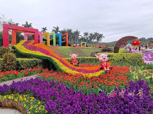 3年内建成!广州花园将打造8个月以上观花体验