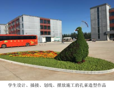 实训基地