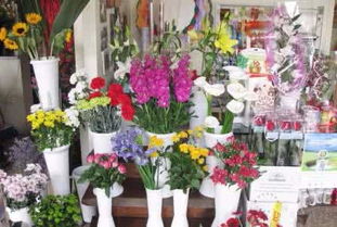 图 花卉绿植盆栽租赁出售园林绿化养护庭院设计草坪种植假山凉亭 深圳鲜花绿植