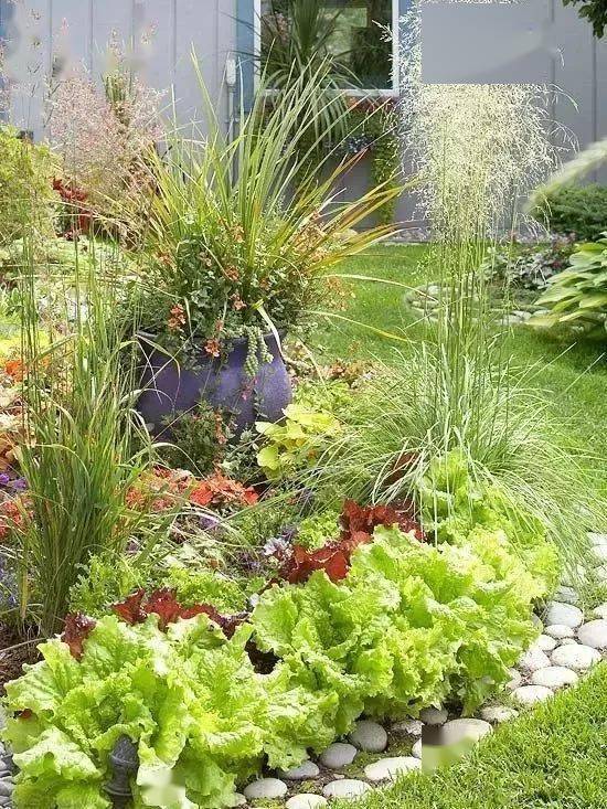 可食地景 有一种花园式菜园叫做赏食园艺