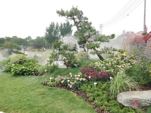 端午假期不妨来这里赏花 河南首届花境竞赛在郑州龙湖湿地公园开幕