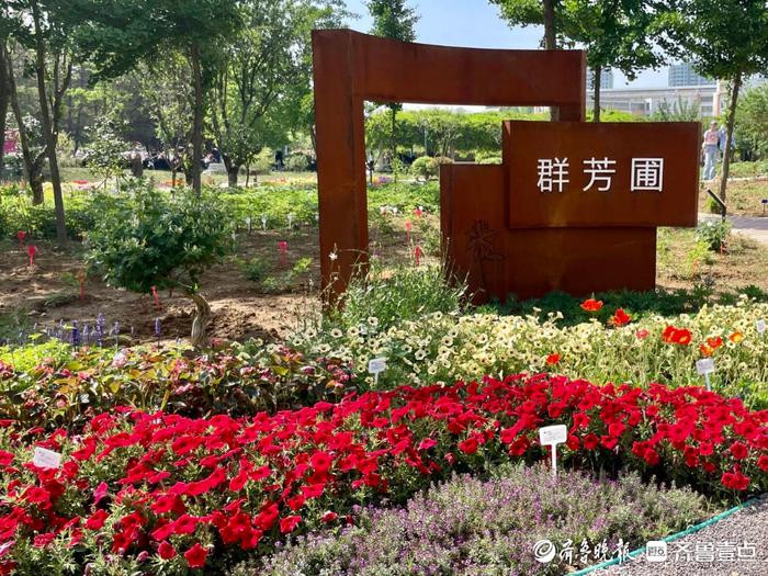 高校师生种植百余种花卉扮靓校园!青岛农业大学群芳圃开园