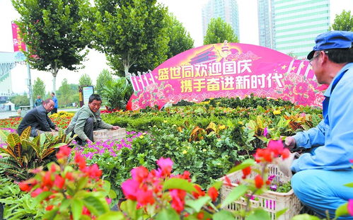 园林部门摆放鲜花盆栽喜迎国庆