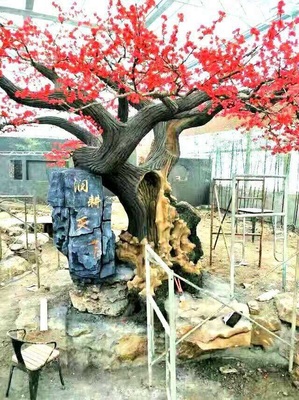 承接小区别墅绿化施工、学校市政绿化养护、铺草栽花、伐树苗木补种打药施肥