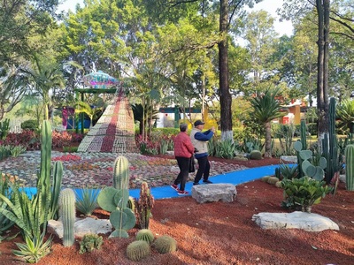 绿植造美景 花式迎新年