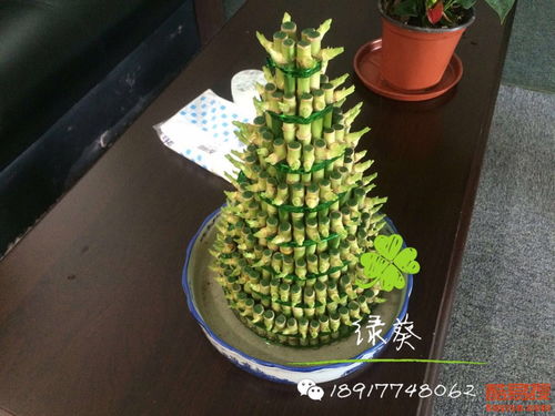 上海酷易搜