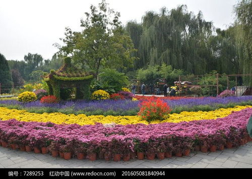 2012中国 上海 花卉园艺及园林景观博览会