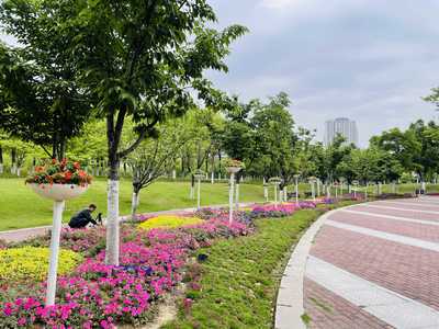 五一上新!万余盆花卉装扮紫贞公园
