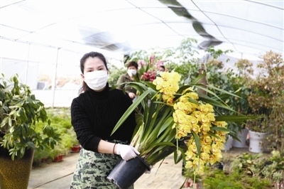 不误农时 播种希望