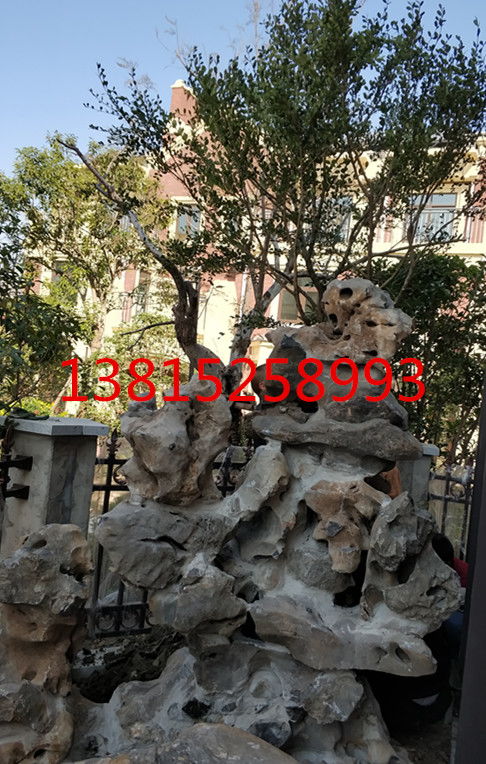 苗木果树报价 厂家