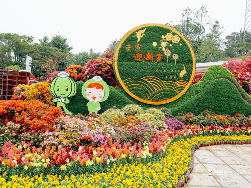 厦门园林植物园春节期间免费开放,花多人多喜气洋洋,新春好去处