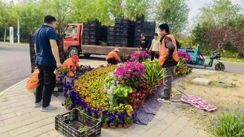 石景山这个公园万余盆鲜花扮靓迎 五一