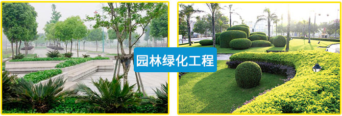园林绿化工程