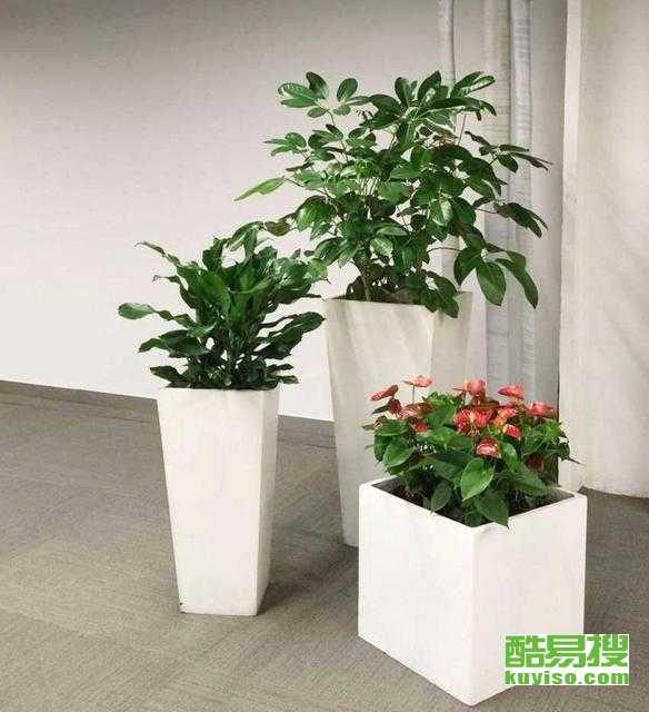 成都酷易搜