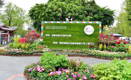 沉浸式体验 花 文化 成都青羊花肆花园中心新一轮活动来了