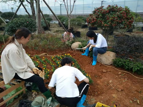 植物哲学 营造的氛围――记我院园林16 2班开展花境设计与施工