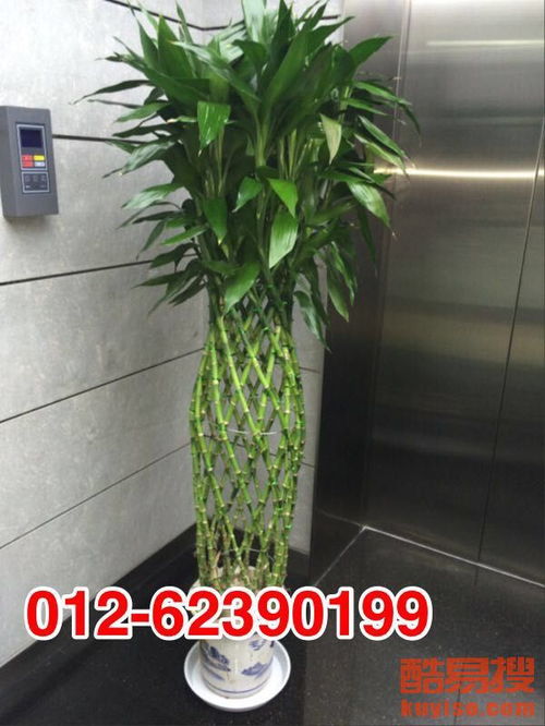 上海酷易搜