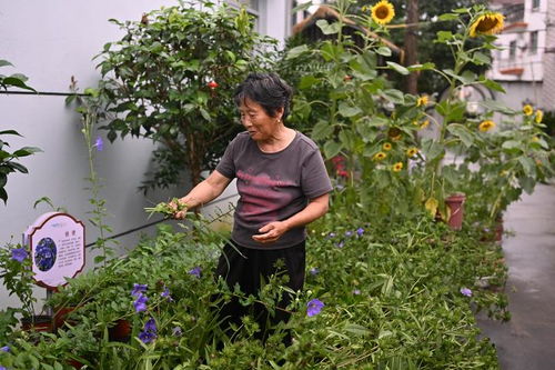 常山 浙西小城一只柚子如何带富一方百姓