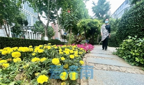 颜值再提升 济南 口袋公园 变身 花卉科普乐园