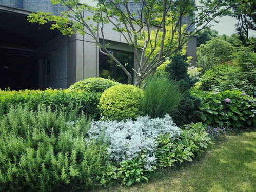 广亩研发体系 自然野趣,以植物营造景观空间