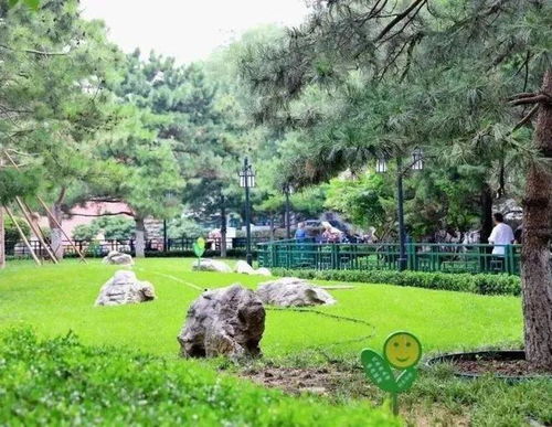 快看 东城这个公园终于改造完成