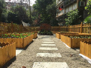 成都居民社区生态菜园建设种植养护公司 专业服务好