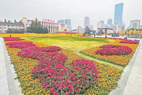 元旦小长假 公园成都氛围浓