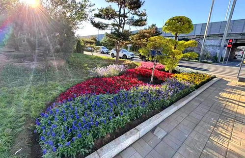 桥下生花 街角成景 副中心这些口袋公园 小微绿地惊艳亮相