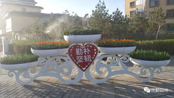 鲜花亮相小城街道 公园广场