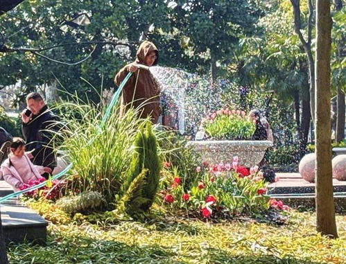 过了元宵花卉市场已飘起兰香