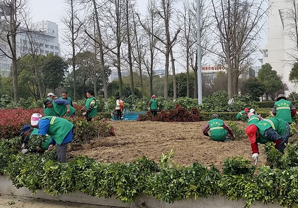 园林绿化施工如何进行会计核算