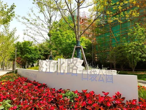多彩植物,廊道夜景 都在怒江北路口袋公园