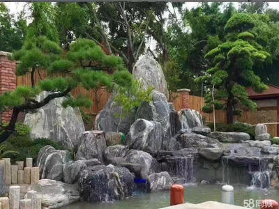 承接小区别墅绿化施工、学校市政绿化养护、铺草栽花、伐树苗木补种打药施肥