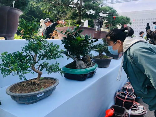 hi, 五一 带你玩大连