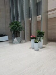 北京门头沟绿植盆栽租赁