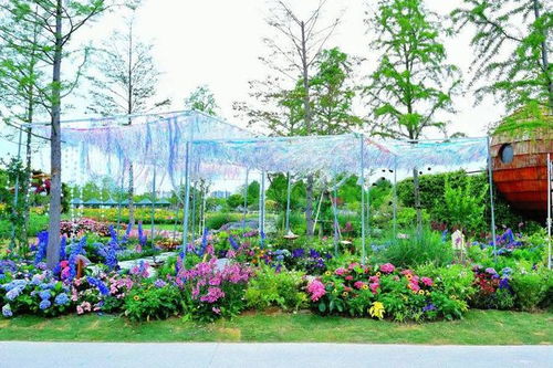 2025上海国际花展奉贤会场启幕 4.28 5.22上海之鱼泡泡公园见