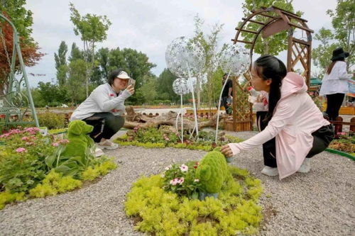 花植 家 生活,30个花园作品亮相北京世园公园 太赞啦